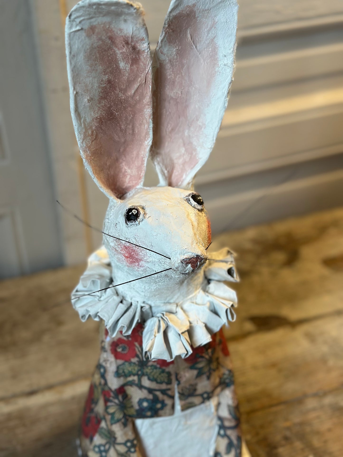 Lapin à collerette