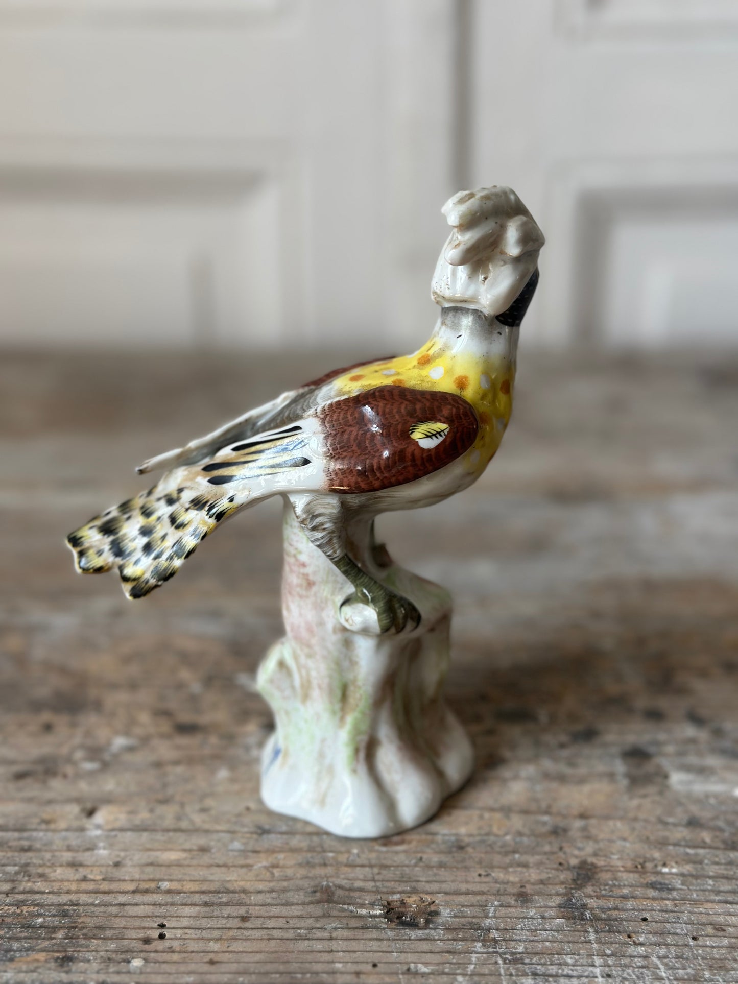 L’oiseau noir et jaune