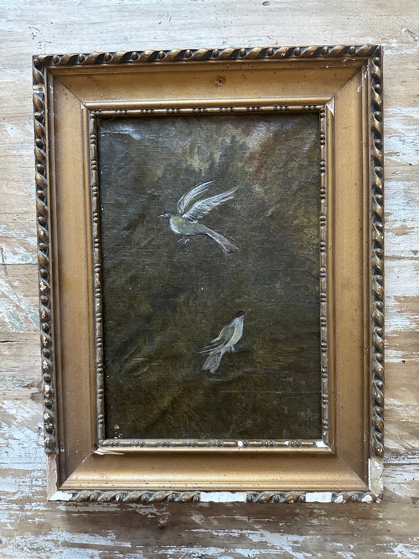 Verdure aux oiseaux