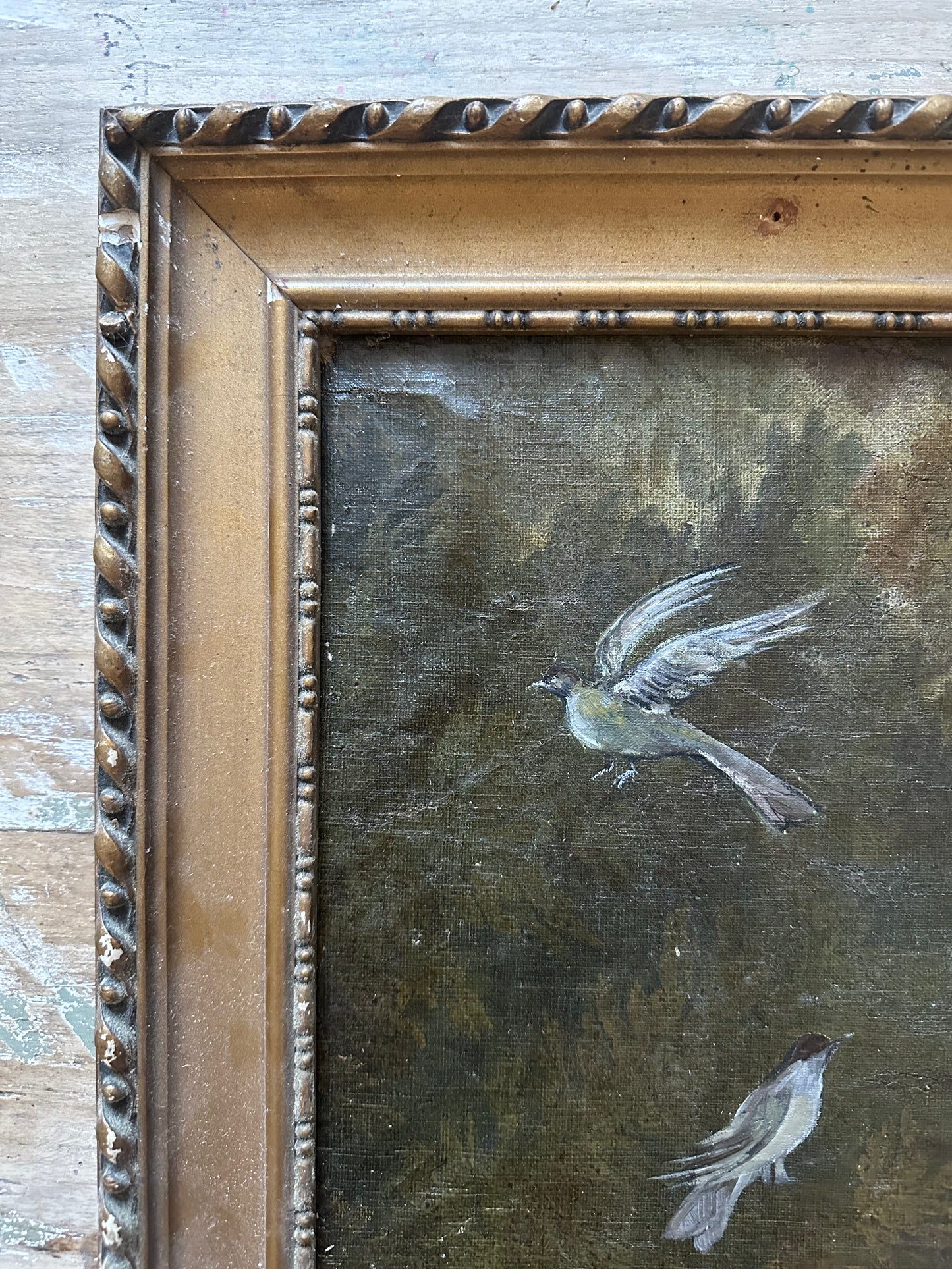 Verdure aux oiseaux