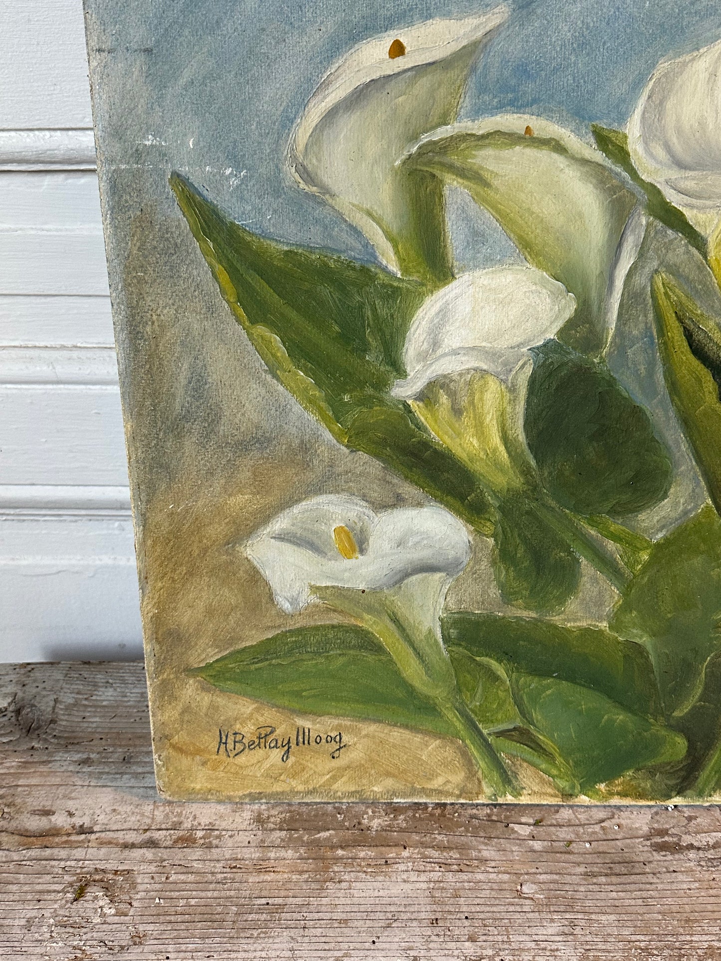 Les arums de l’atelier