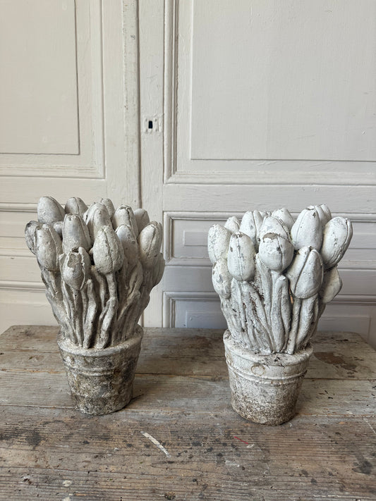 Bouquets de tulipes
