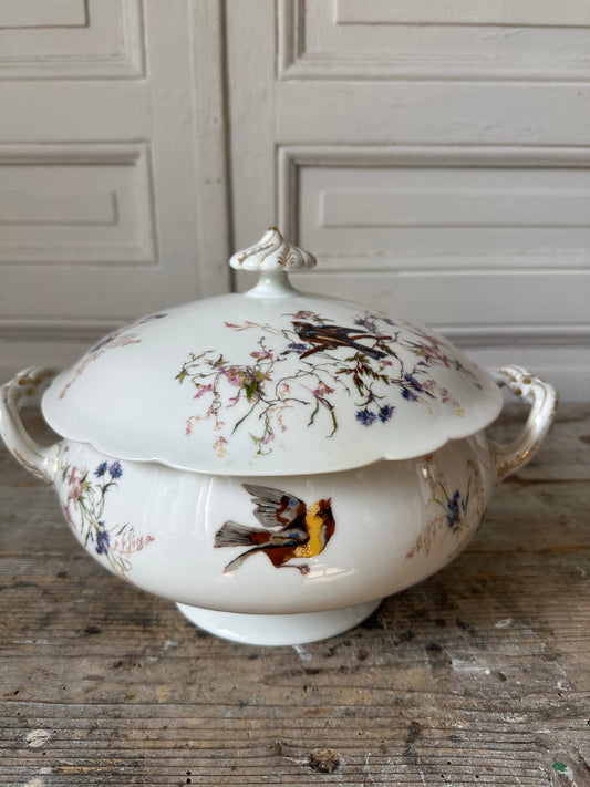 Soupière aux oiseaux