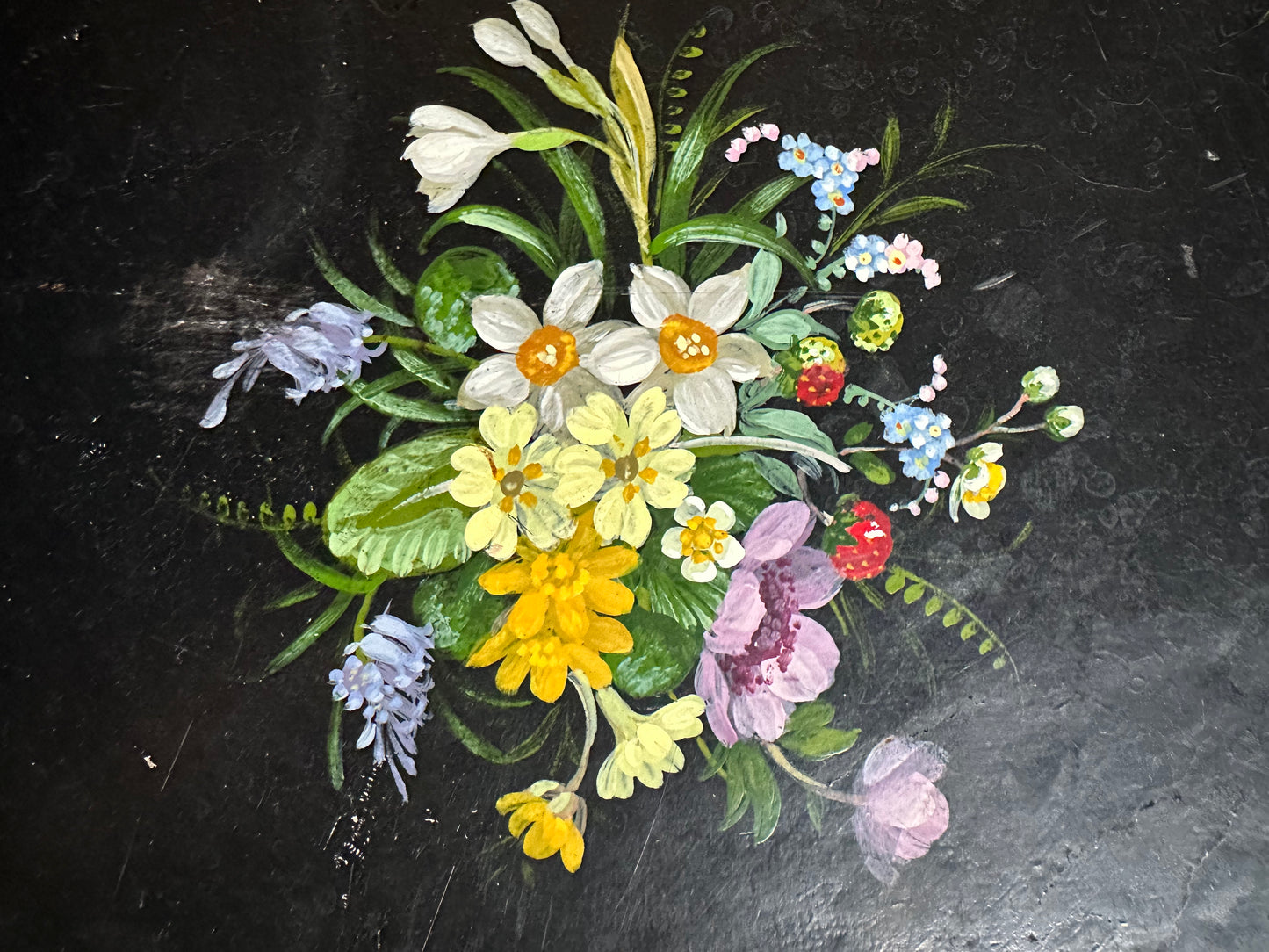 Primevère et cyclamen