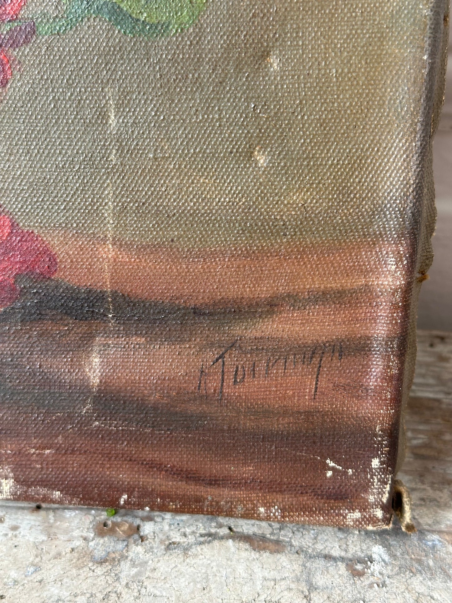 Palette de géraniums