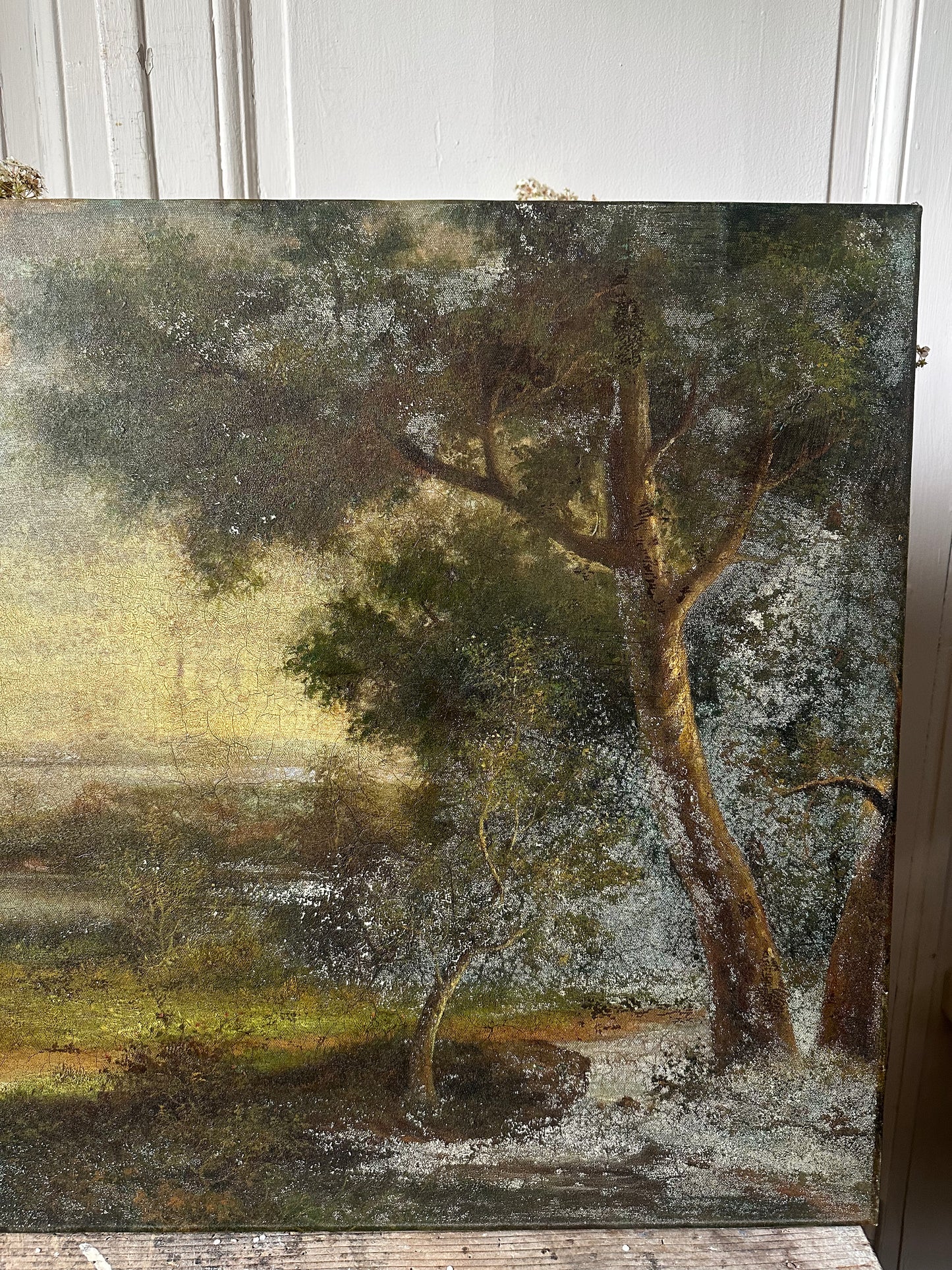 Les vaches