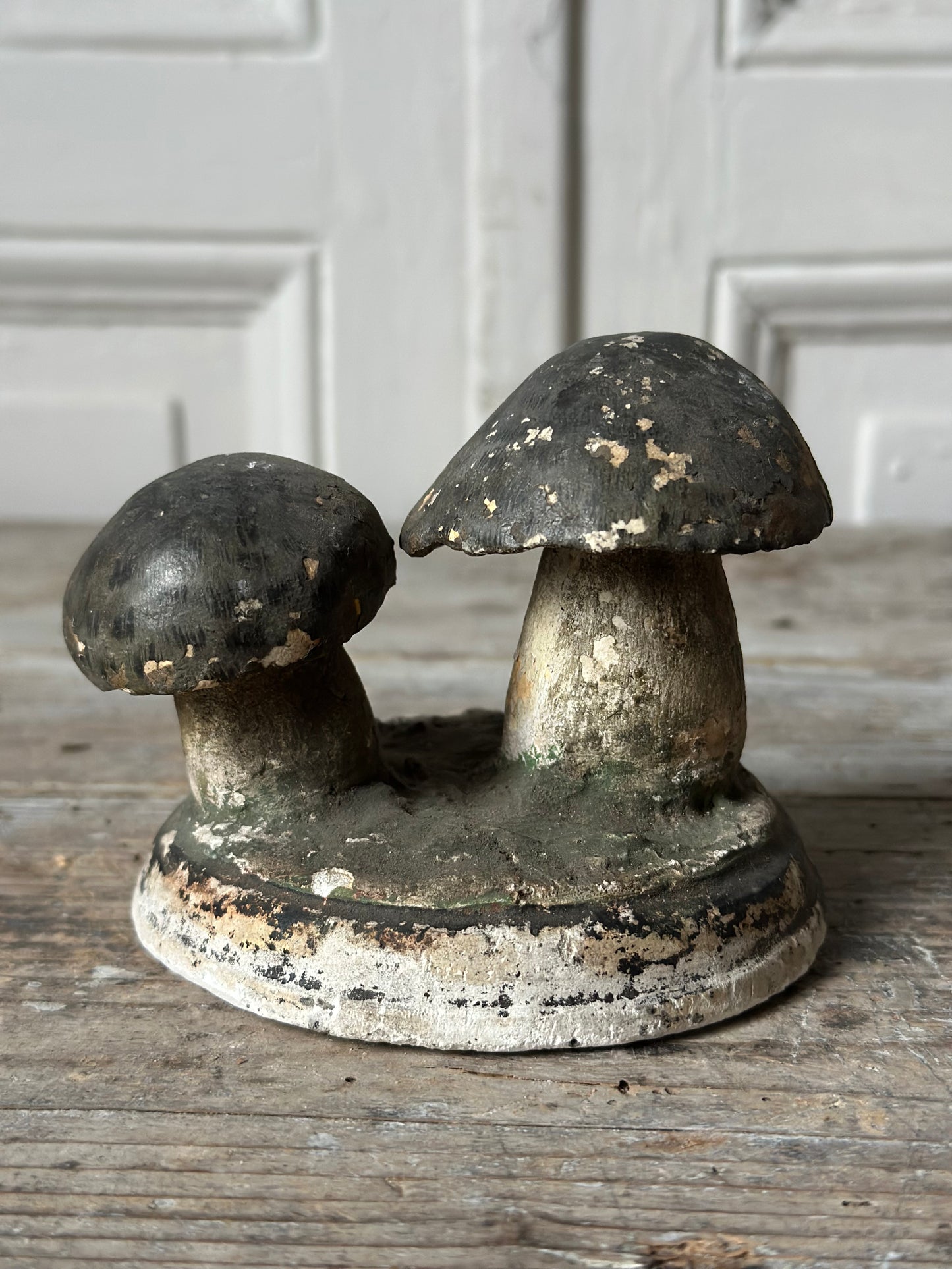 Duo de champignons