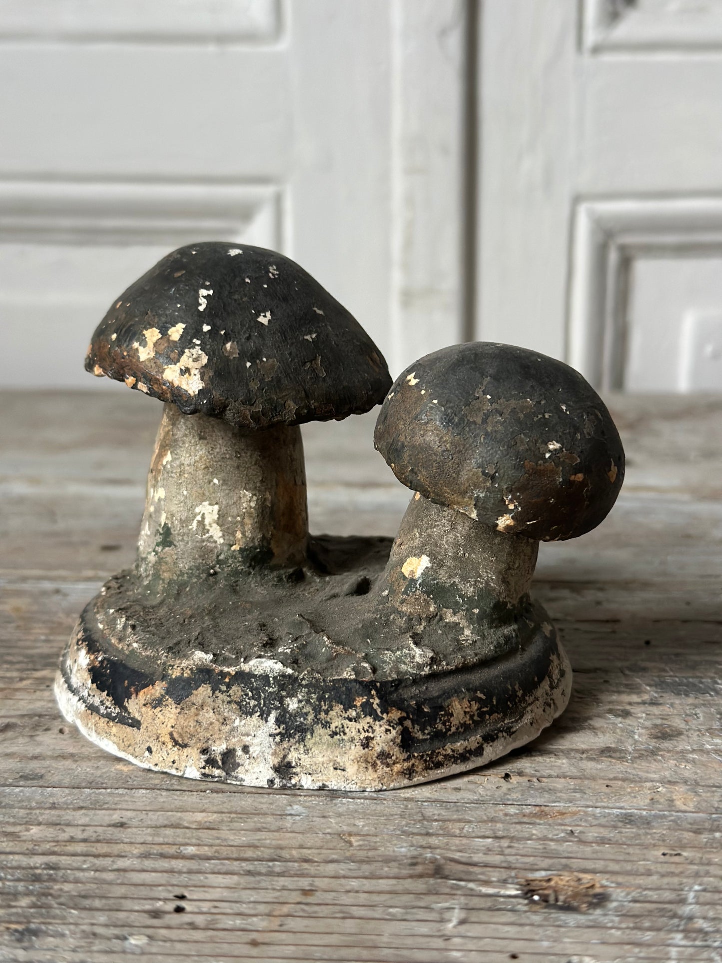Duo de champignons