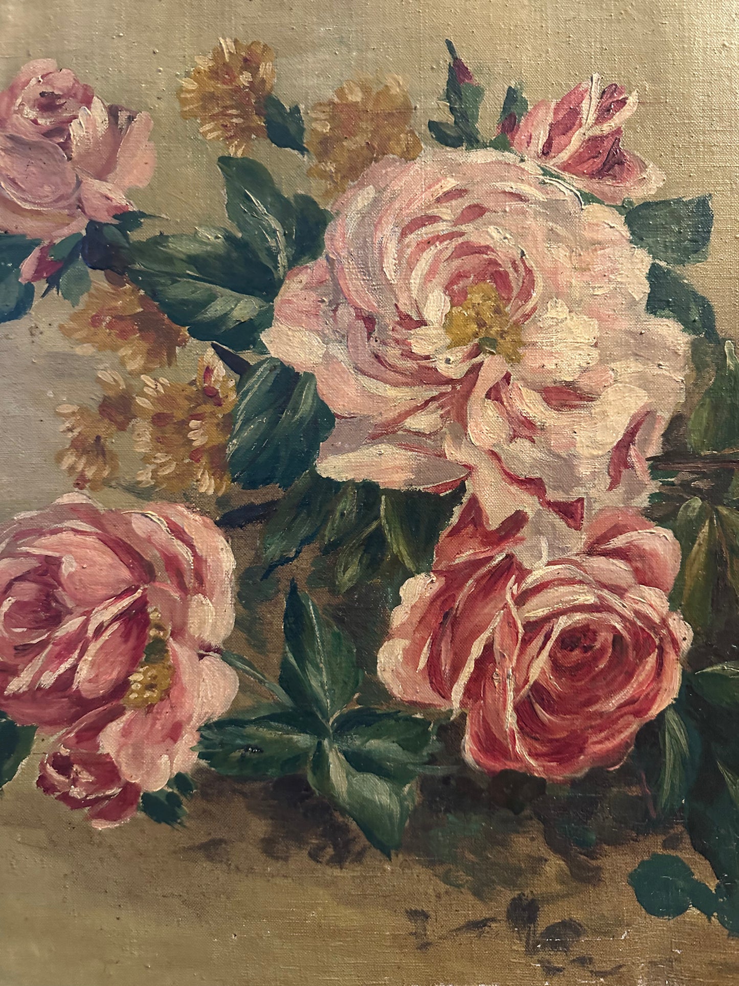 Les roses d’autrefois