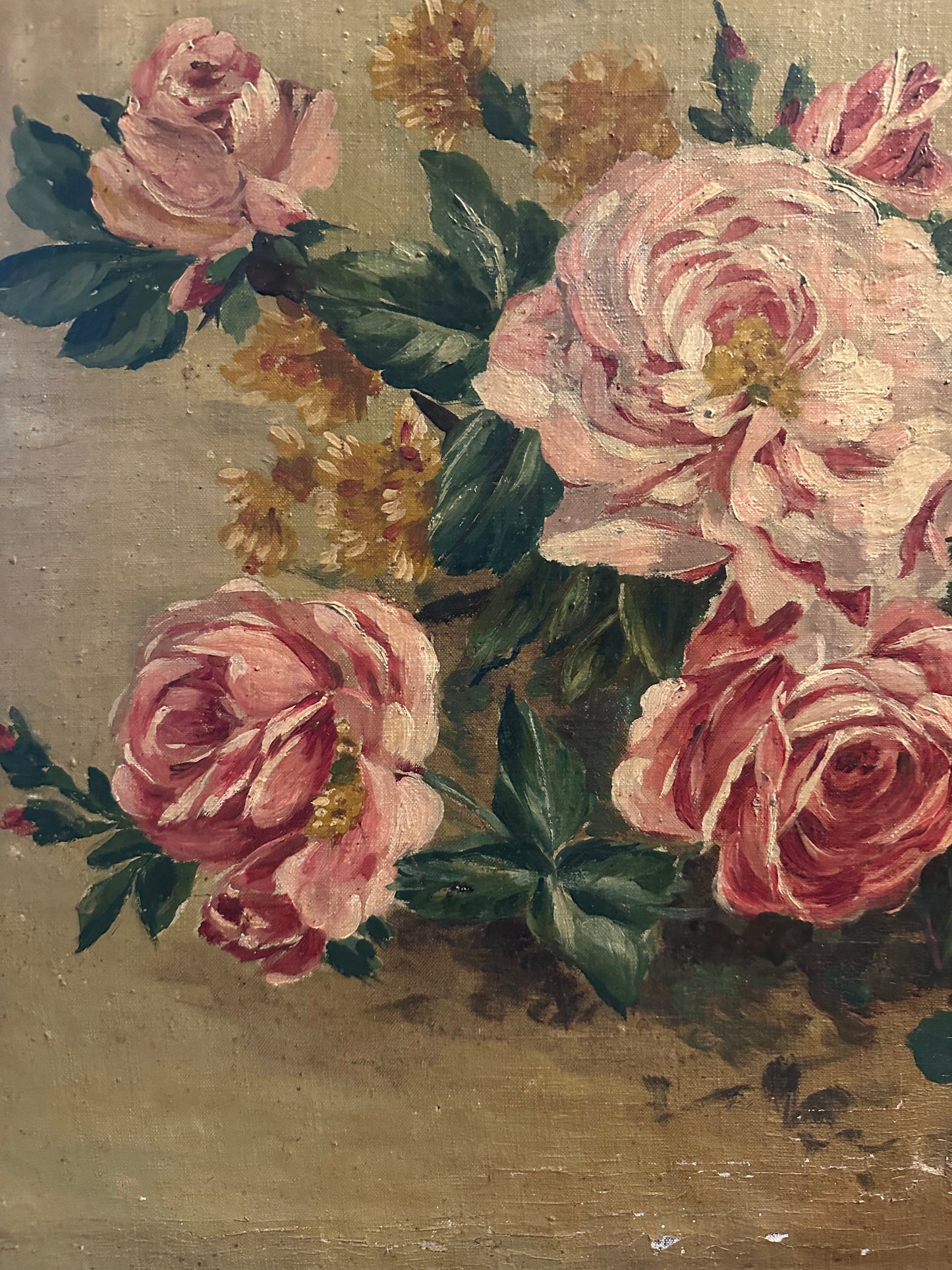 Les roses d’autrefois