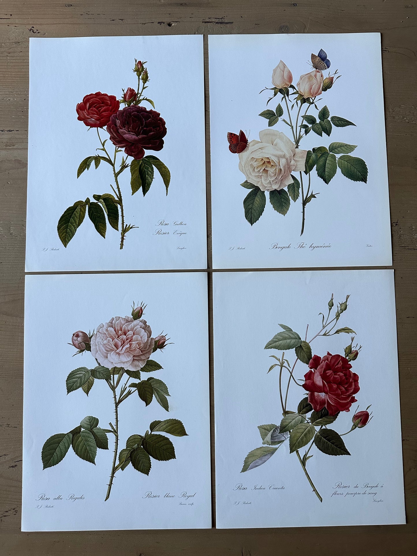 Lot de 4 planches roses