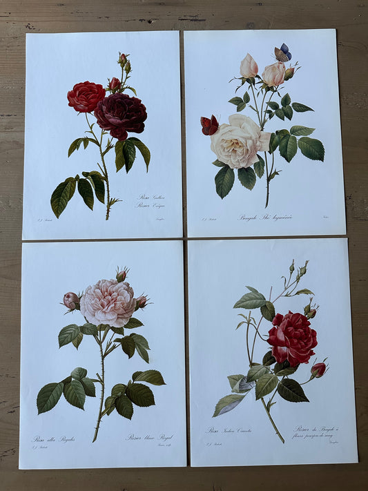 Lot de 4 planches roses