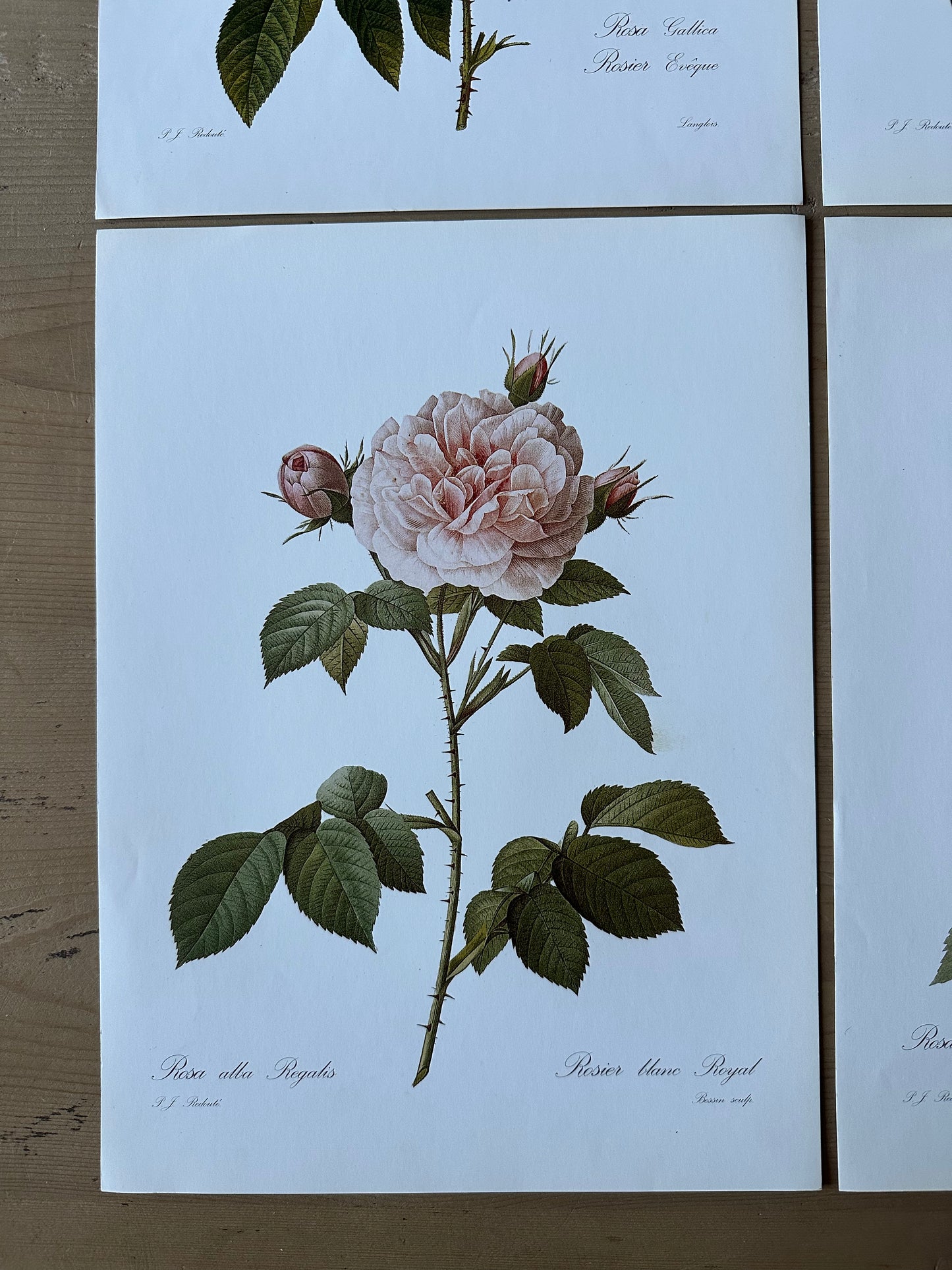 Lot de 4 planches roses