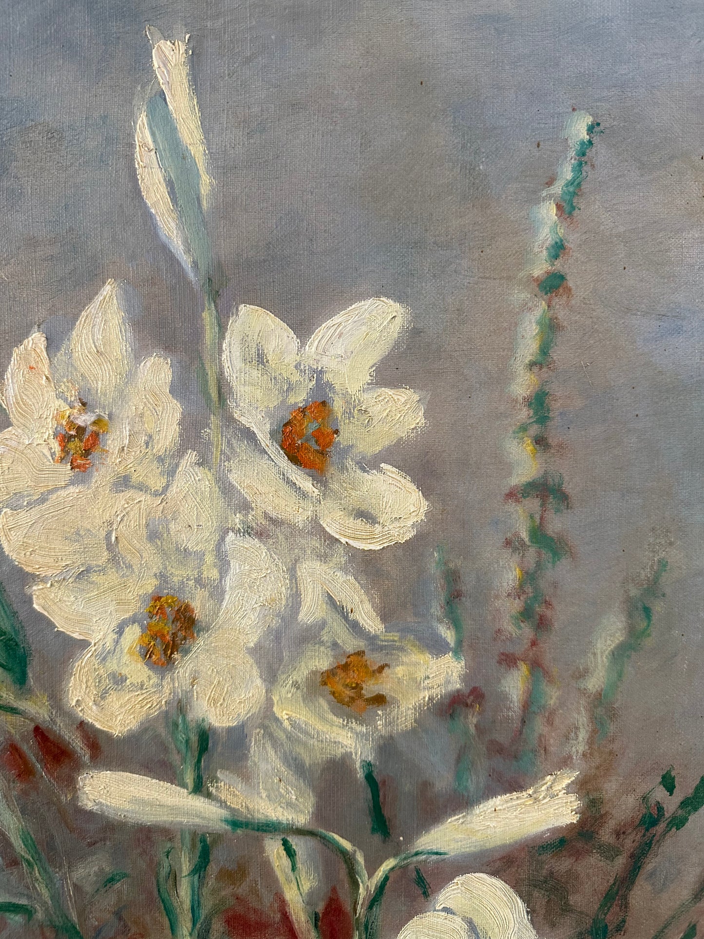 Fleurs du jardin