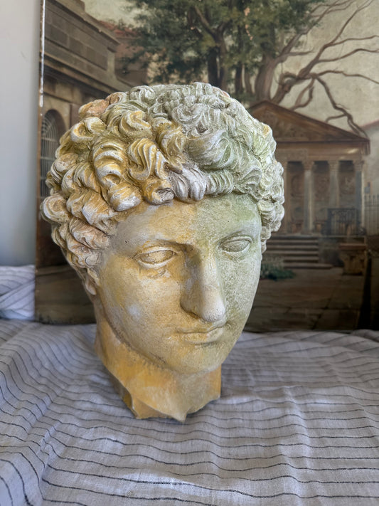 Tête d’apollon