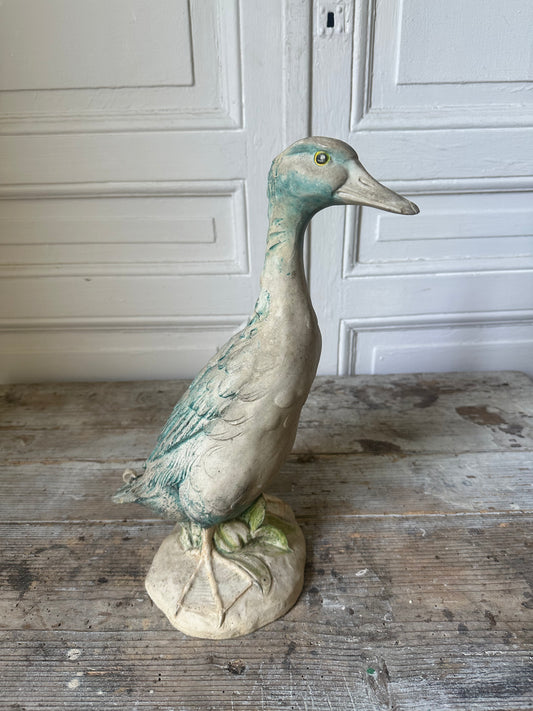 Canard
