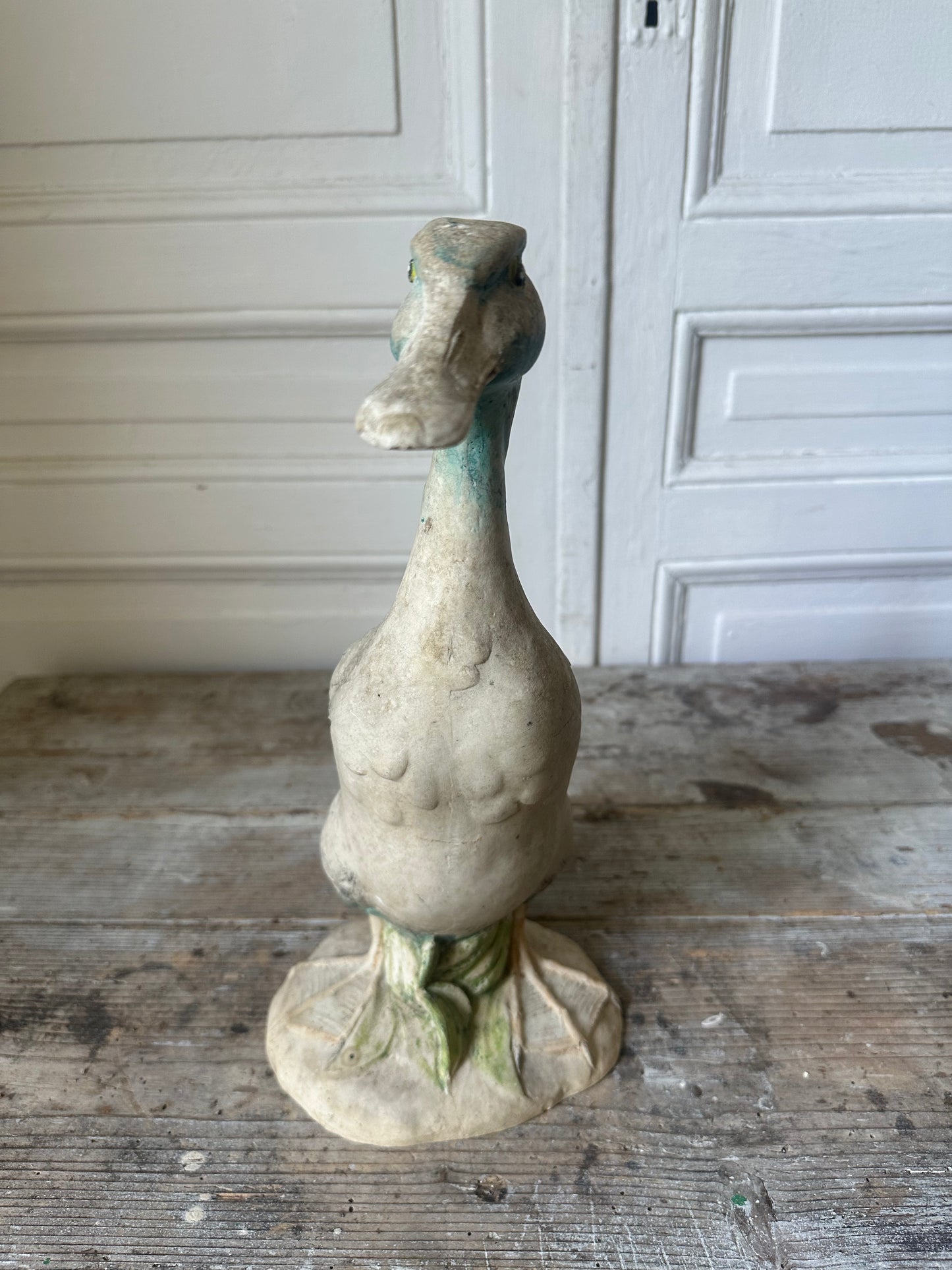Canard