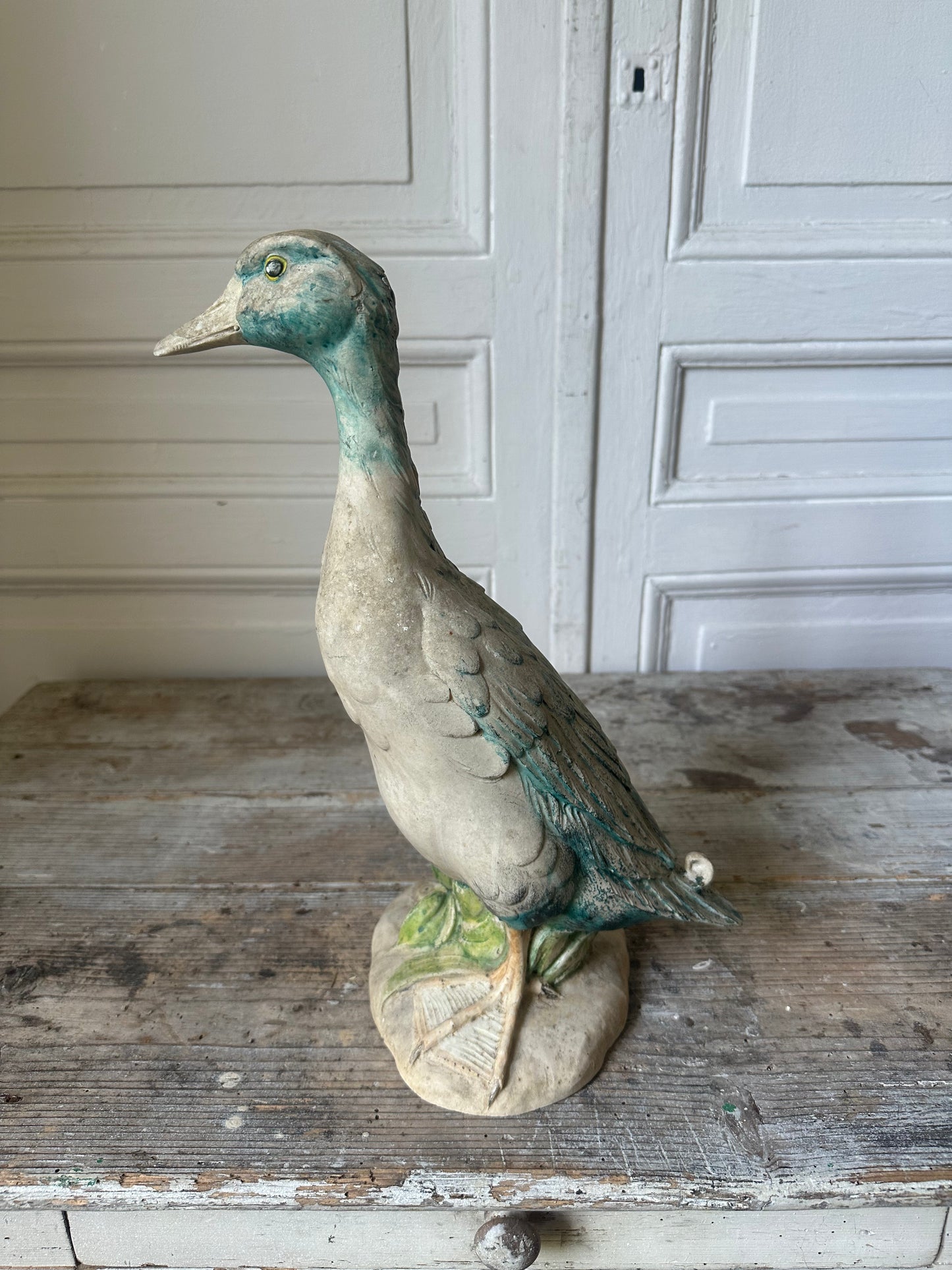 Canard