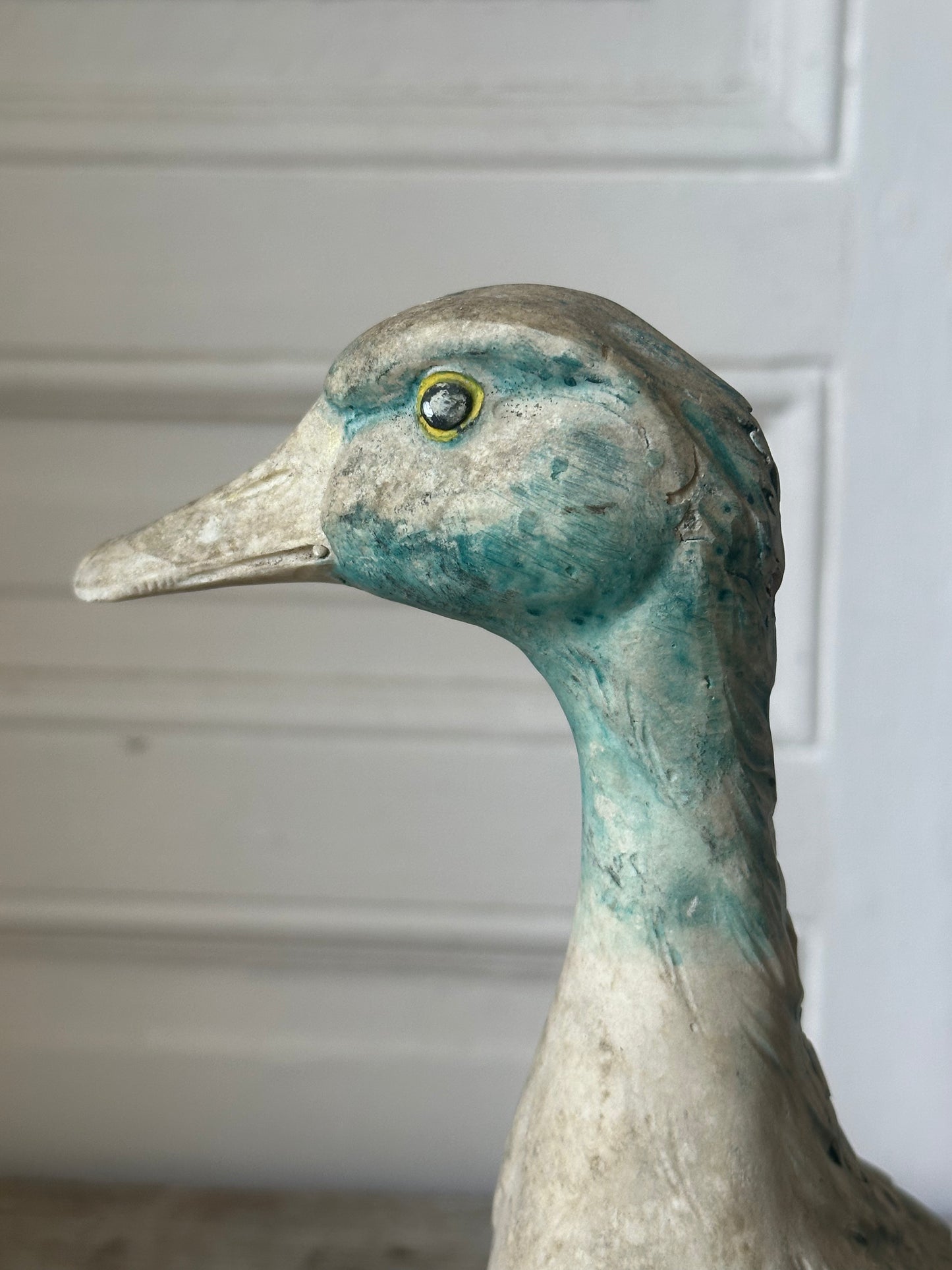 Canard