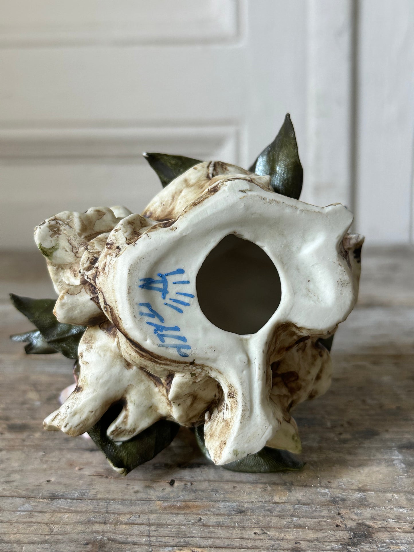Troglodyte mignon