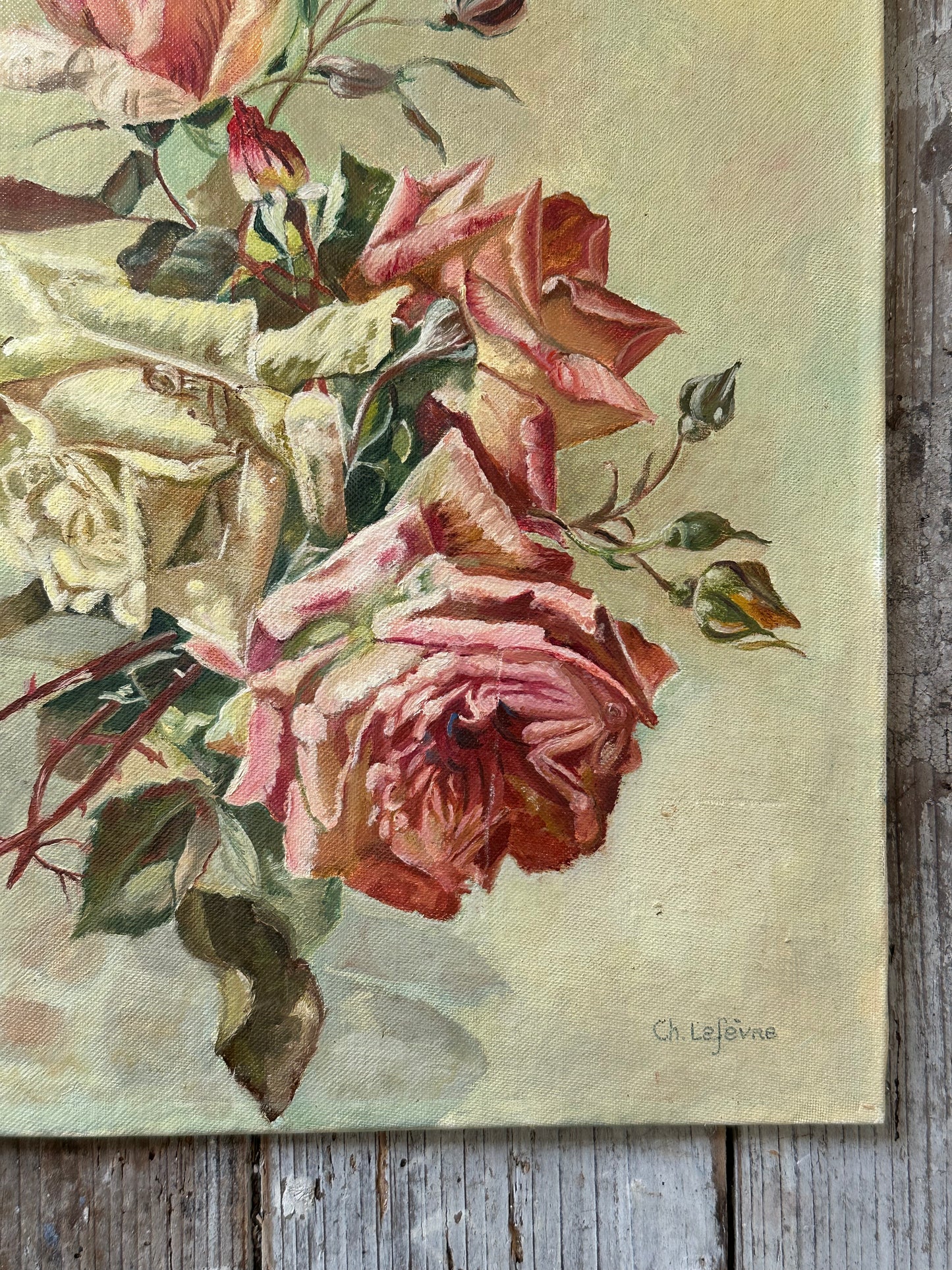 Roses