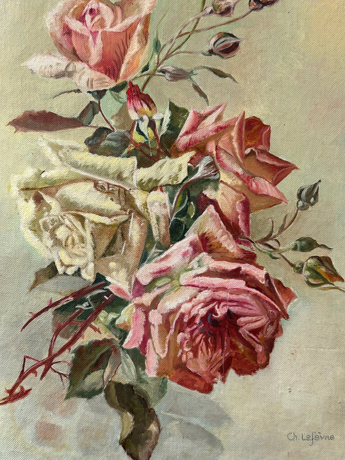 Roses