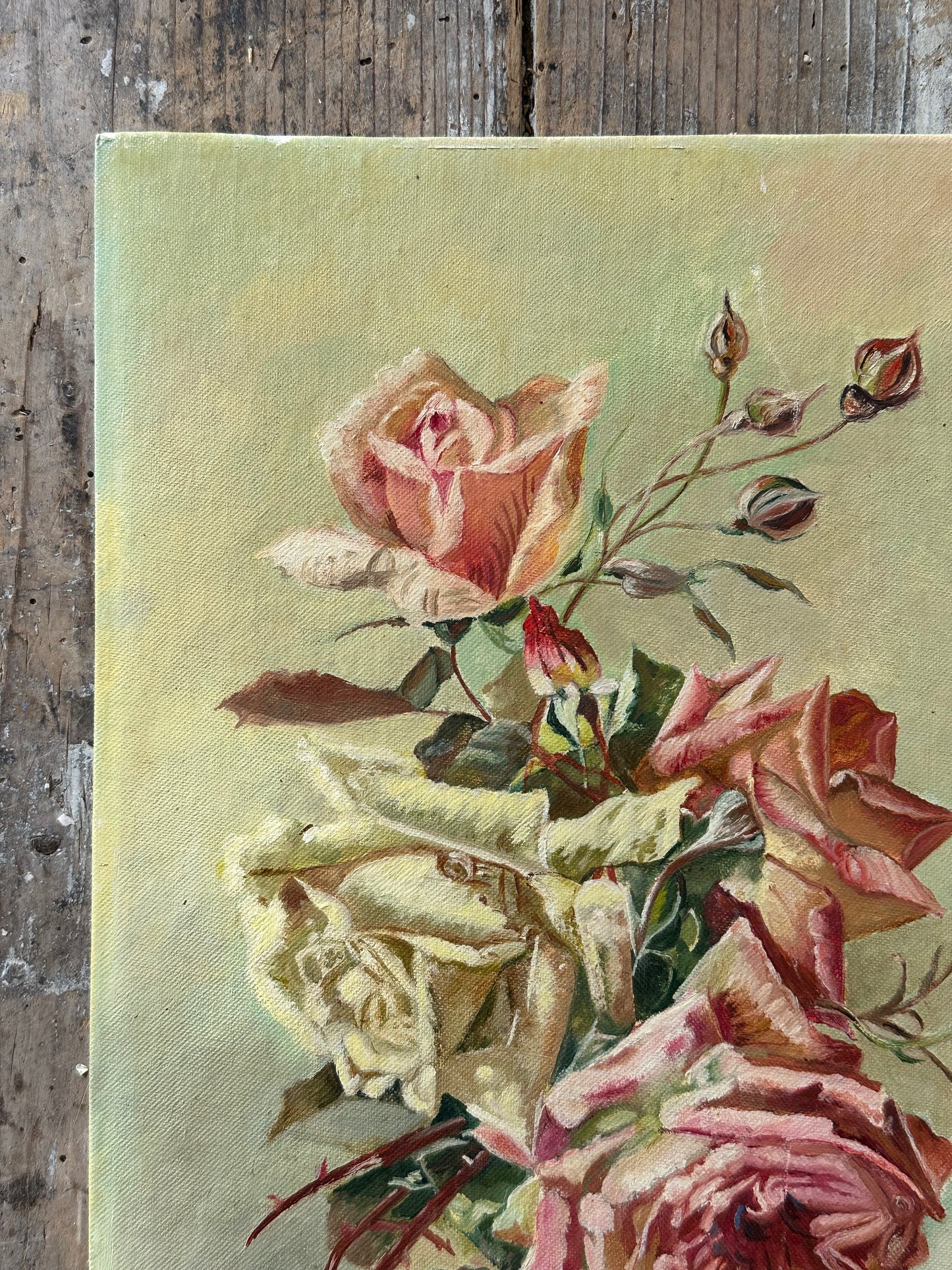Roses