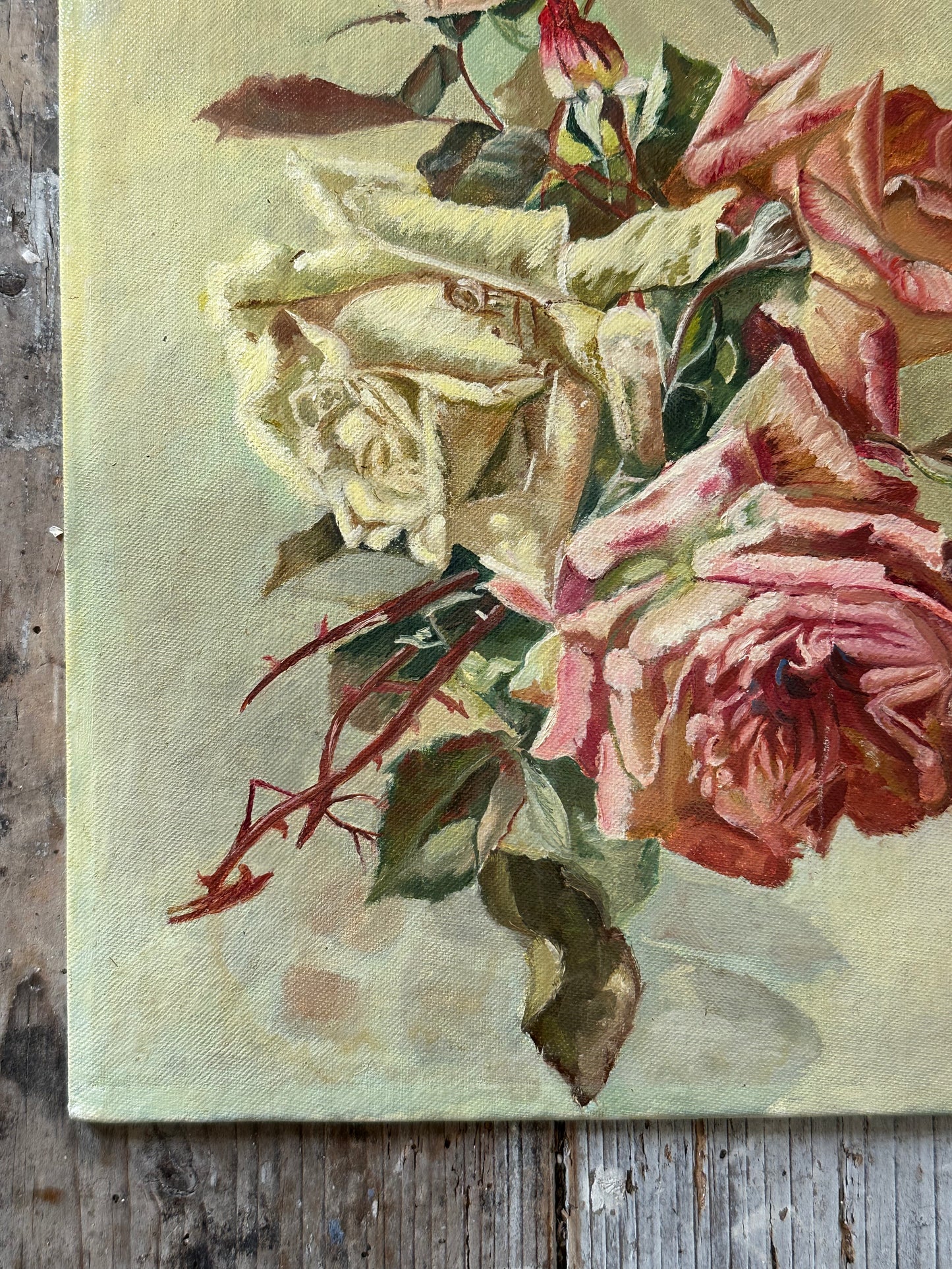 Roses