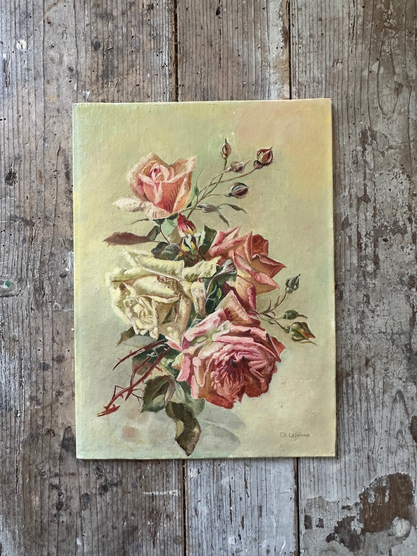 Roses
