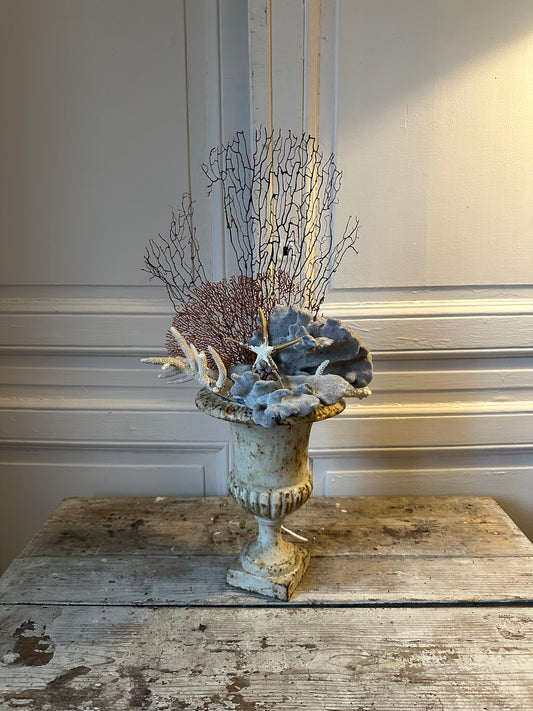 Médicis de coraux