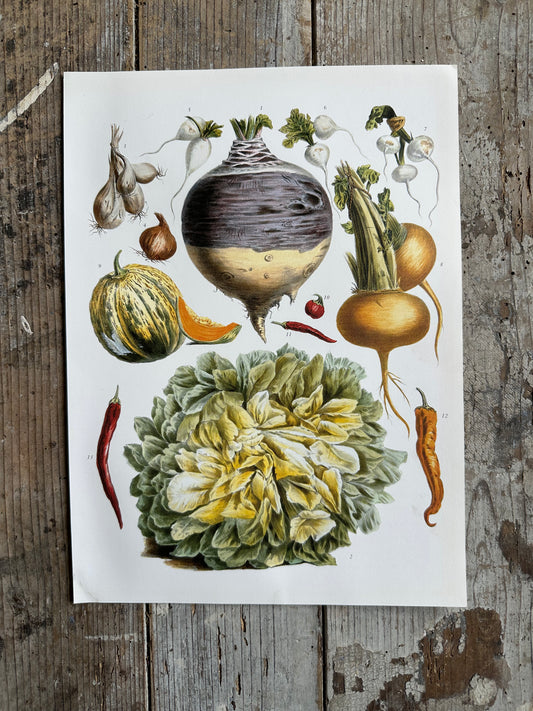 Planche légumes
