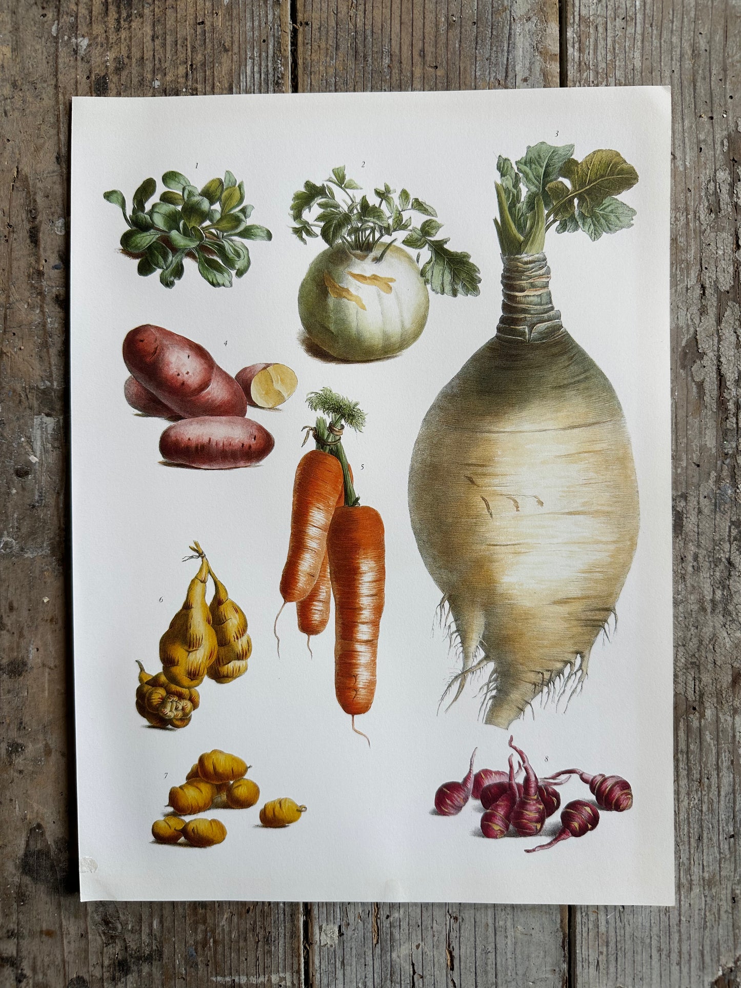 Planche légumes