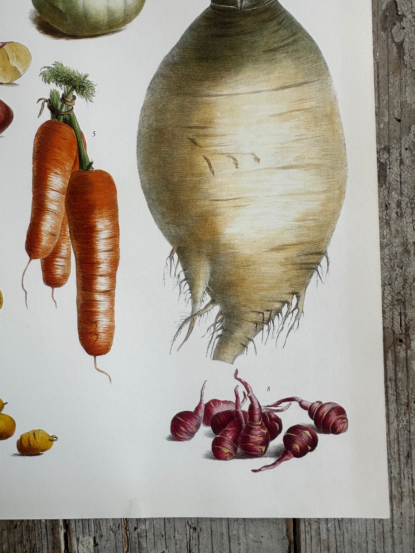 Planche légumes