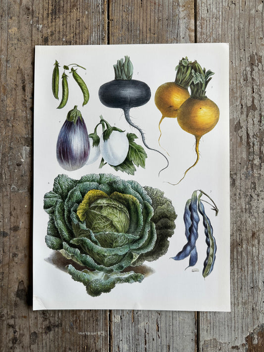 Planche légumes