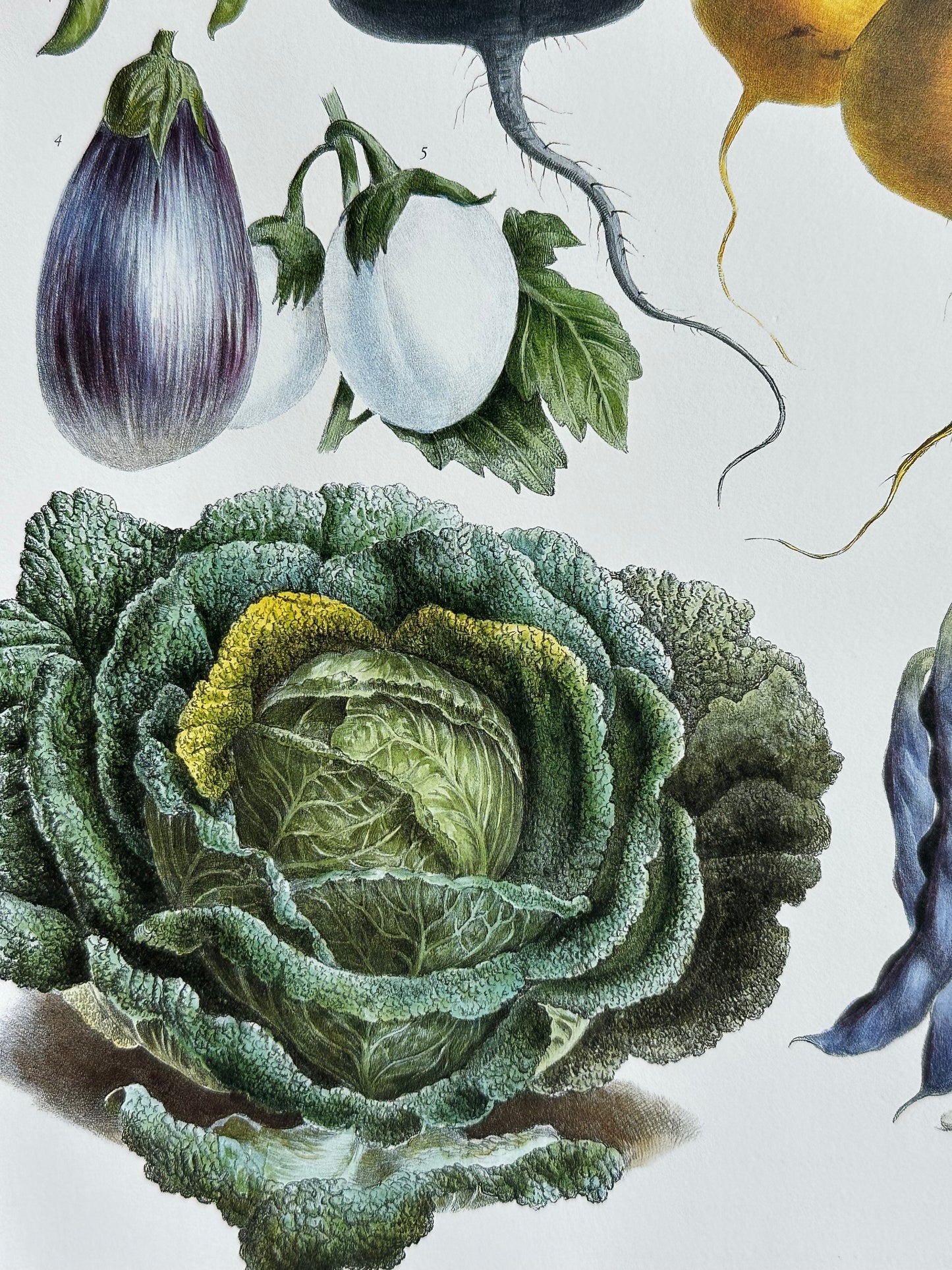 Planche légumes