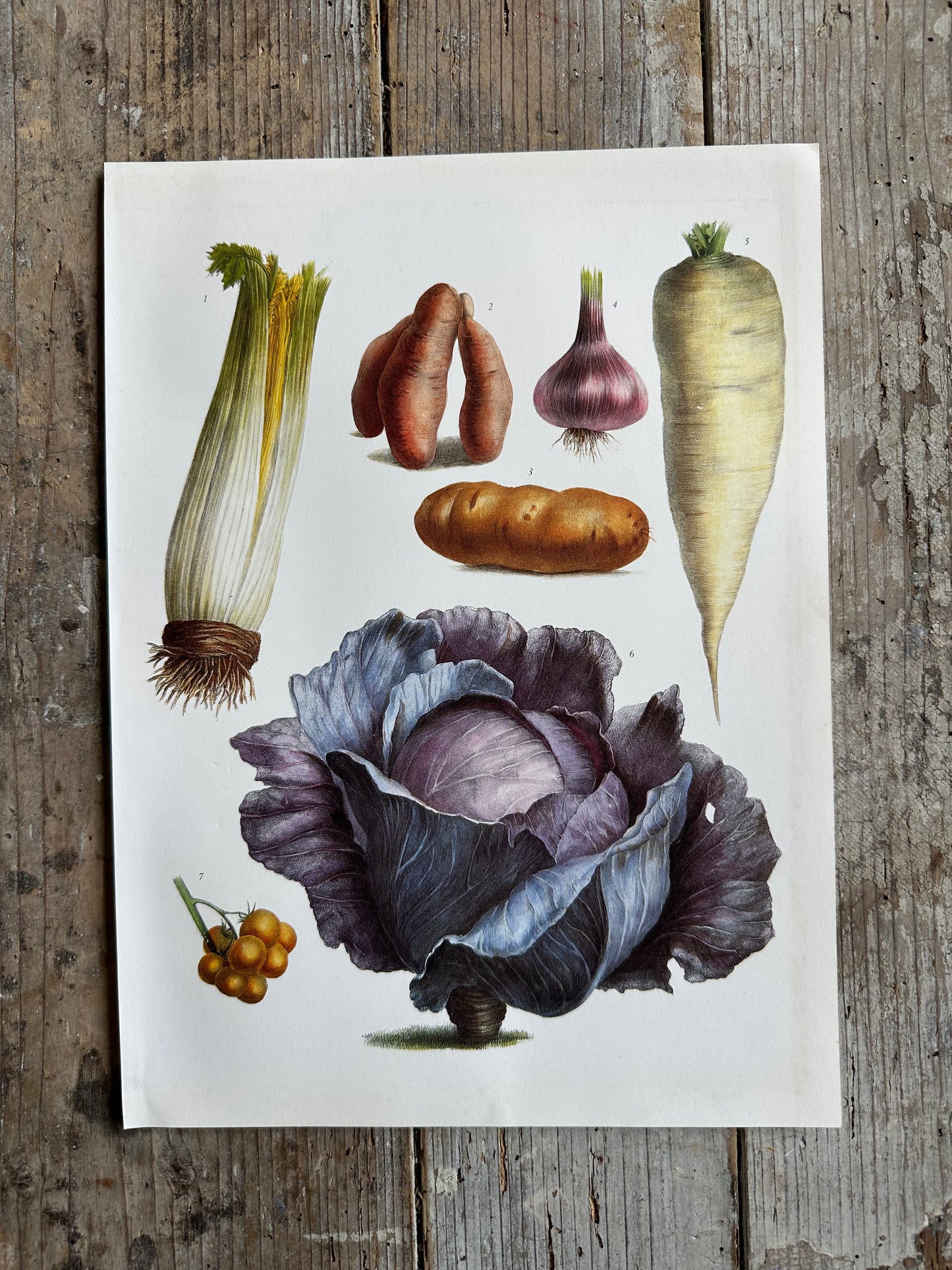 Planche légumes