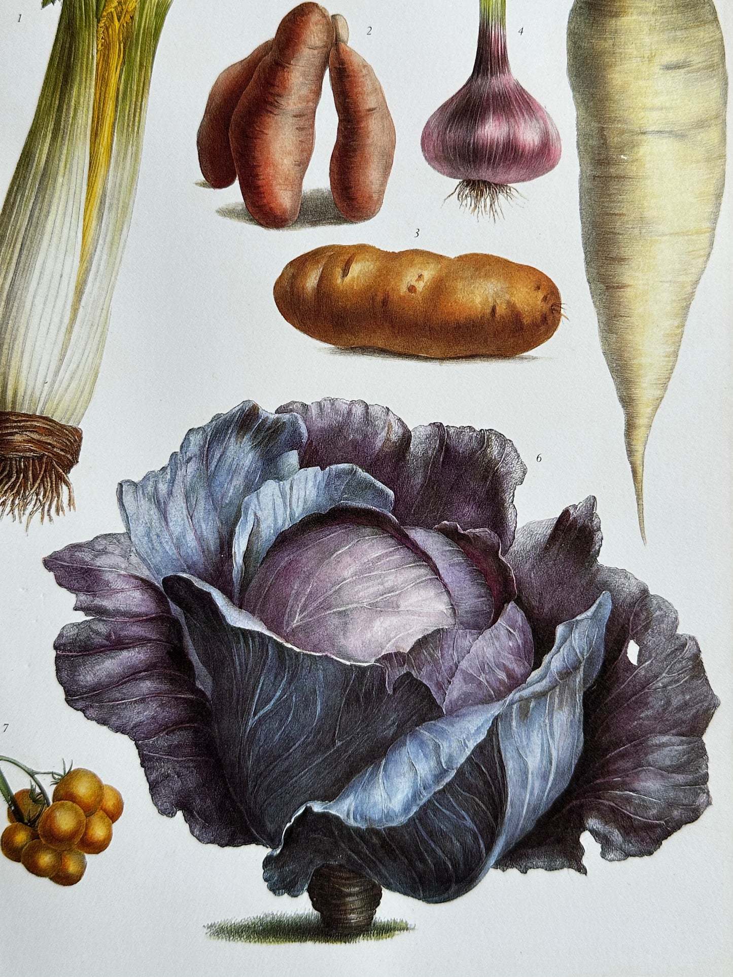 Planche légumes