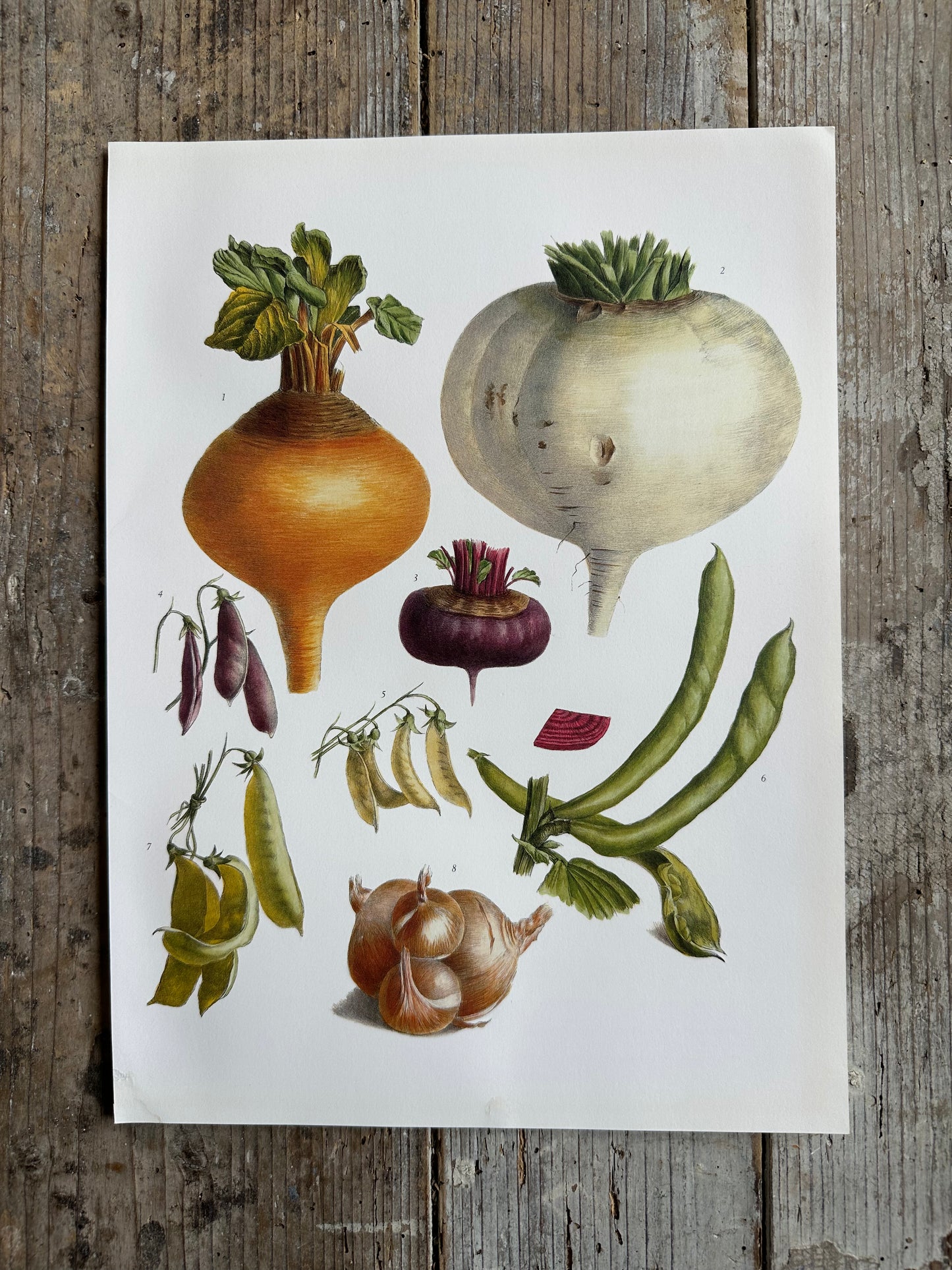 Planche légumes