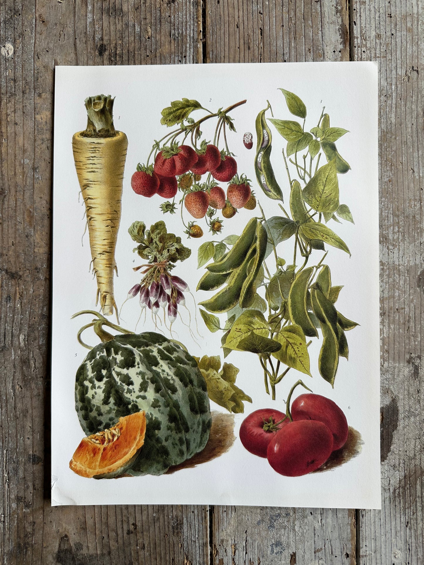 Planche légumes