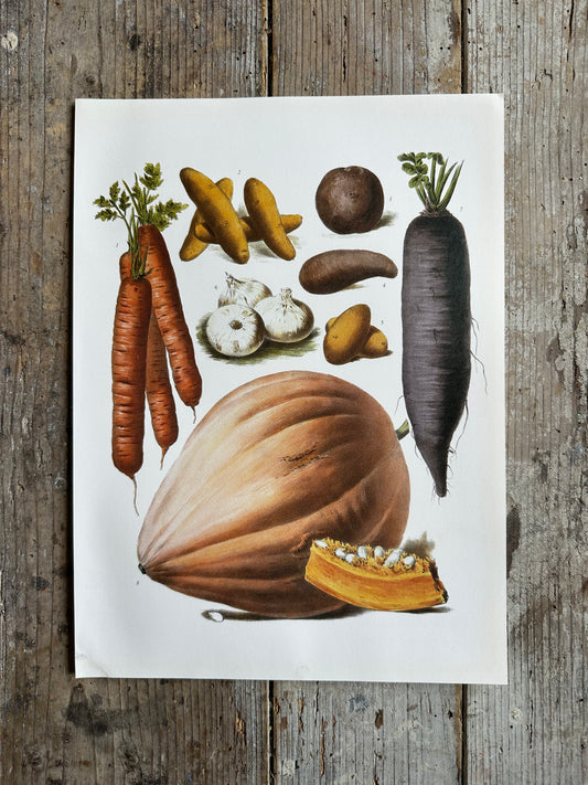 Planche légumes