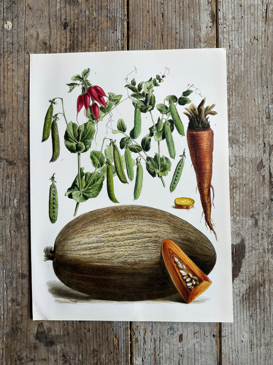 Planche légumes