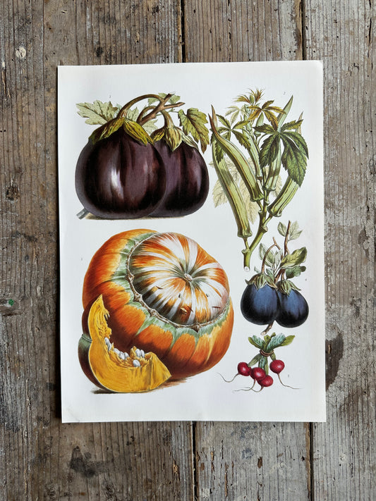 Planche légumes