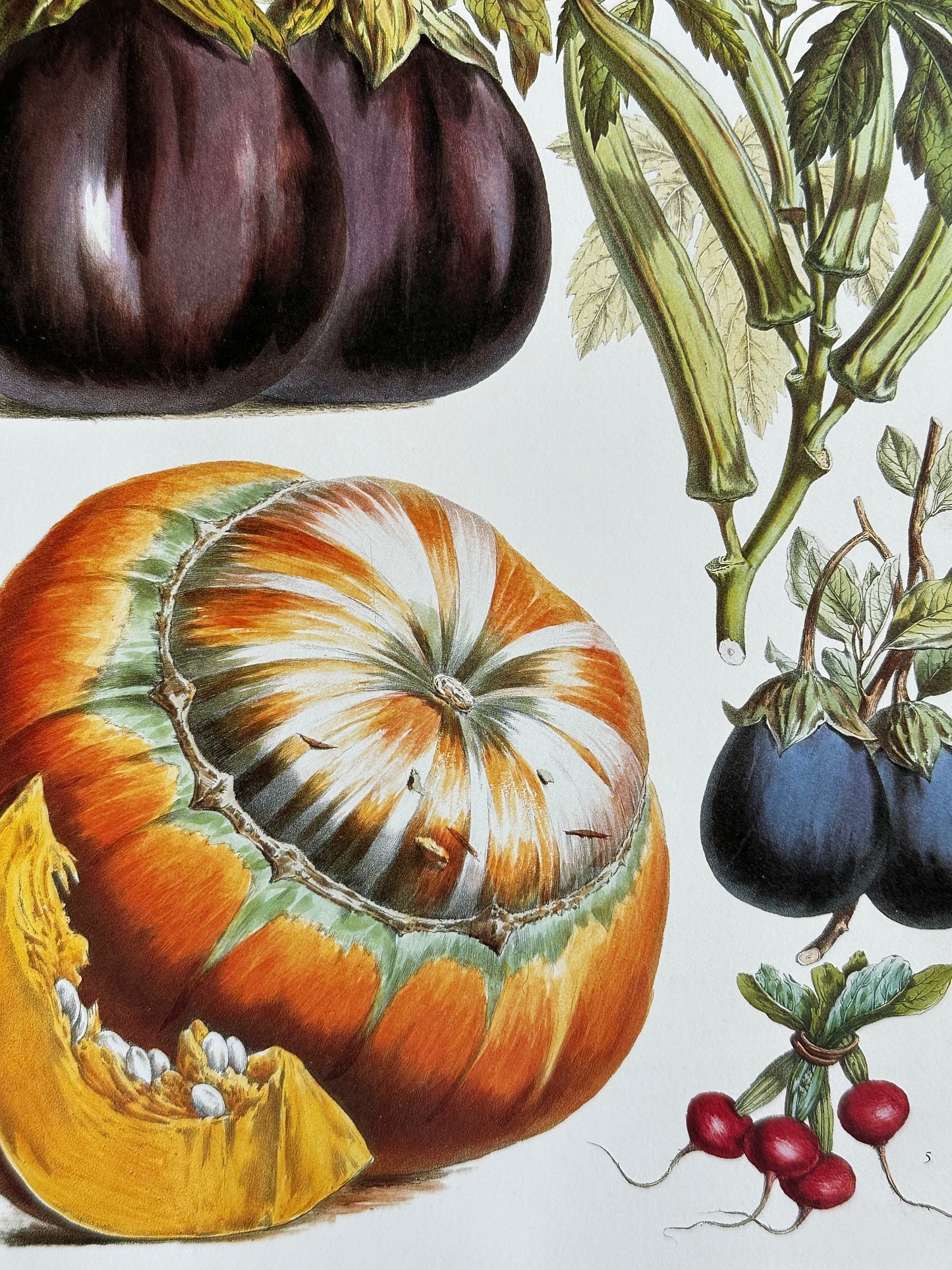 Planche légumes