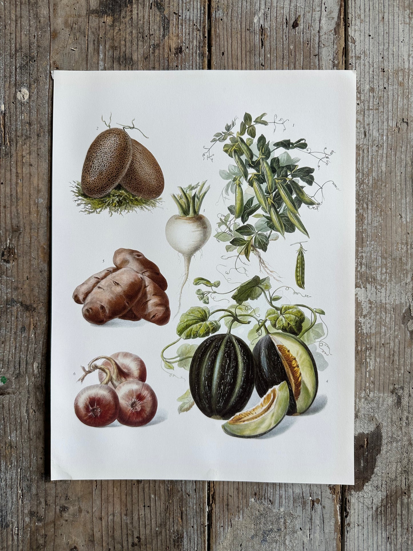 Planche légumes