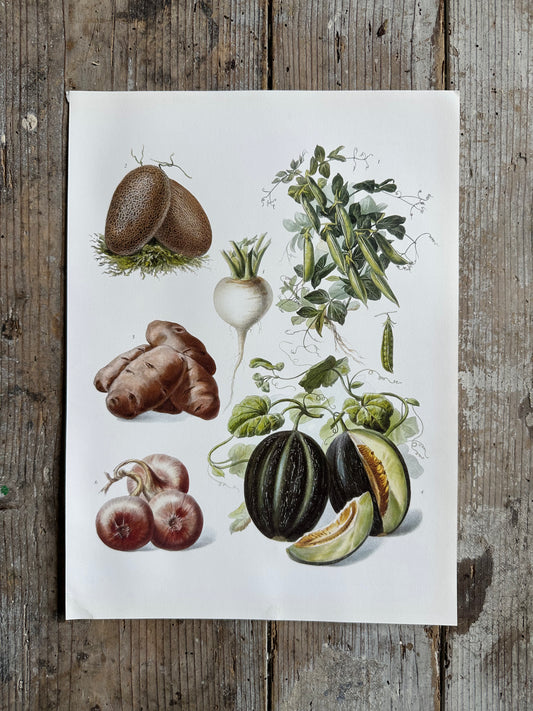 Planche légumes
