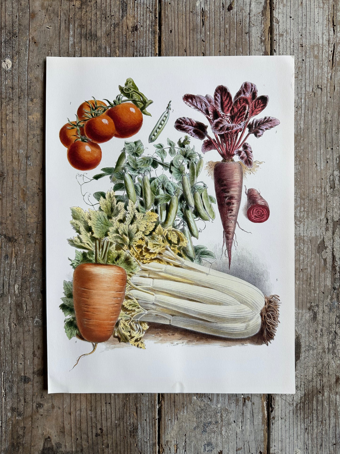 Planche légumes