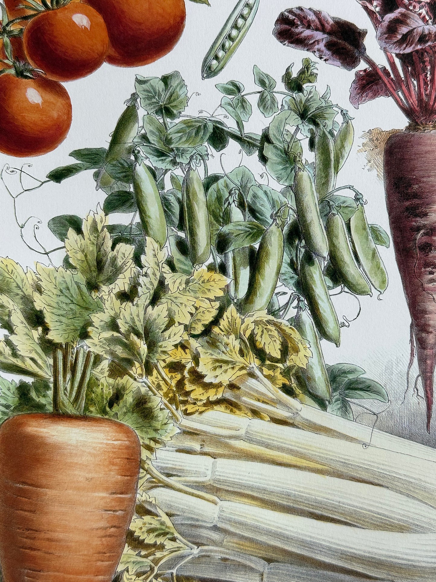 Planche légumes
