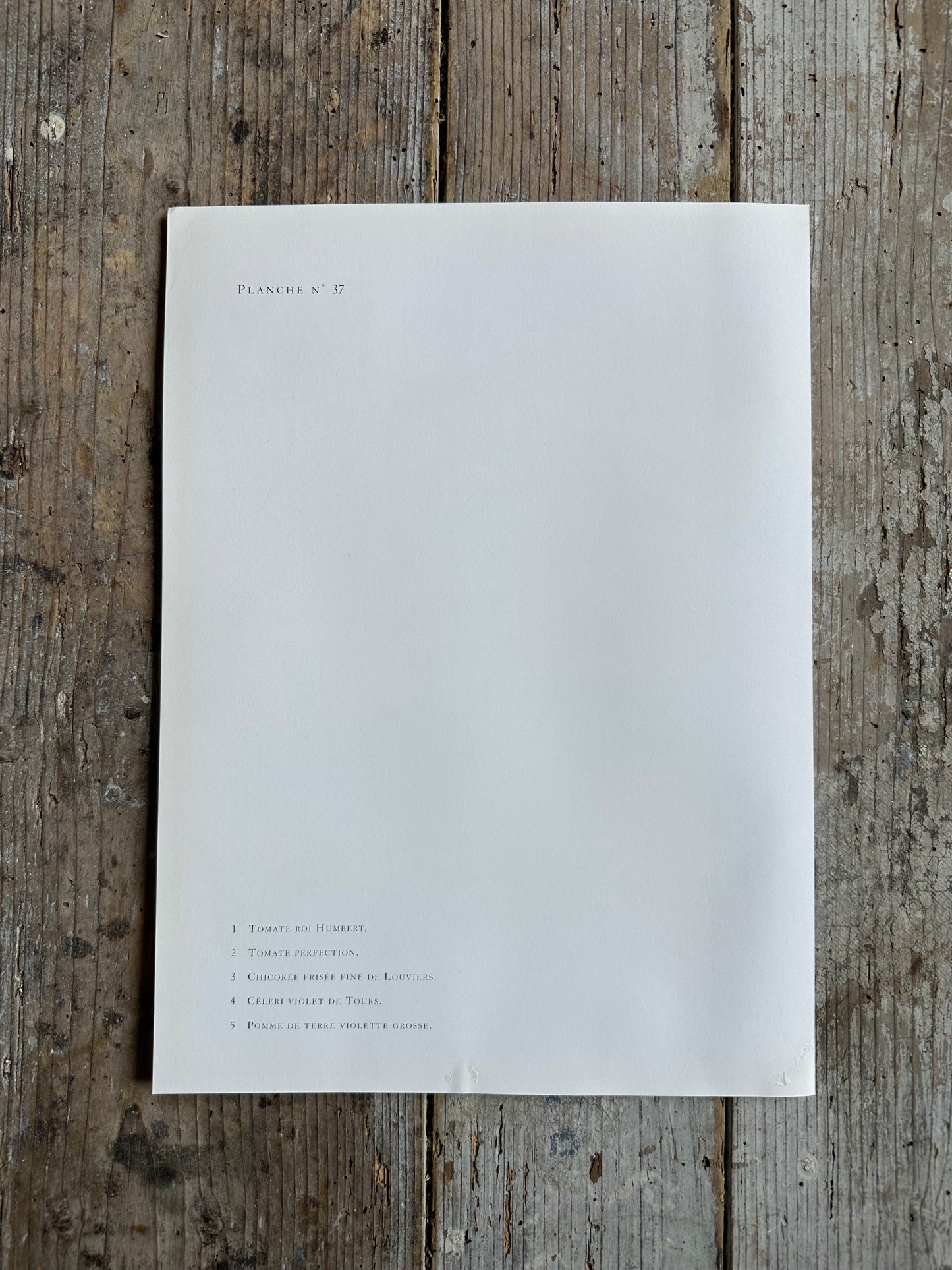 Planche légumes