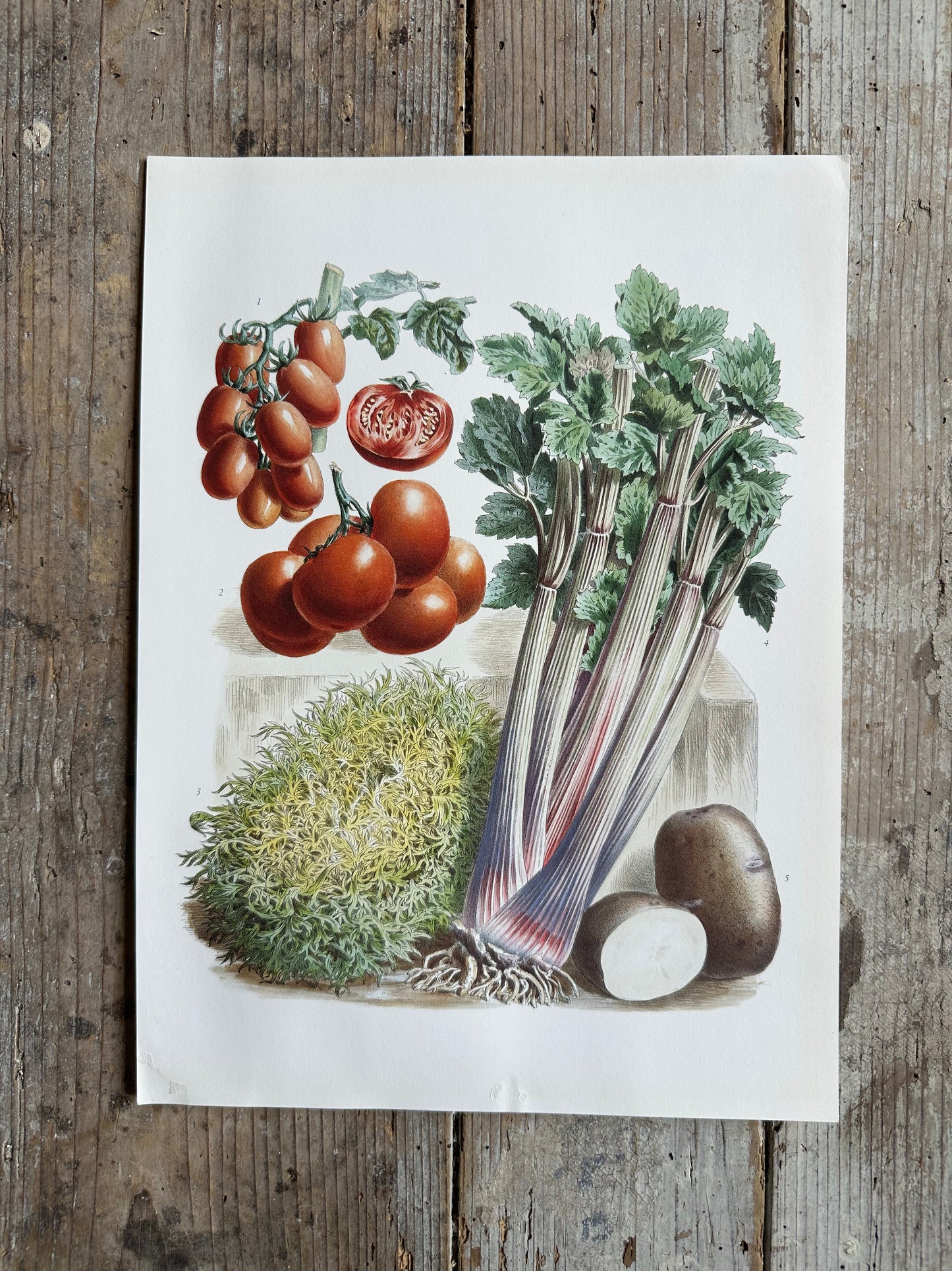 Planche légumes
