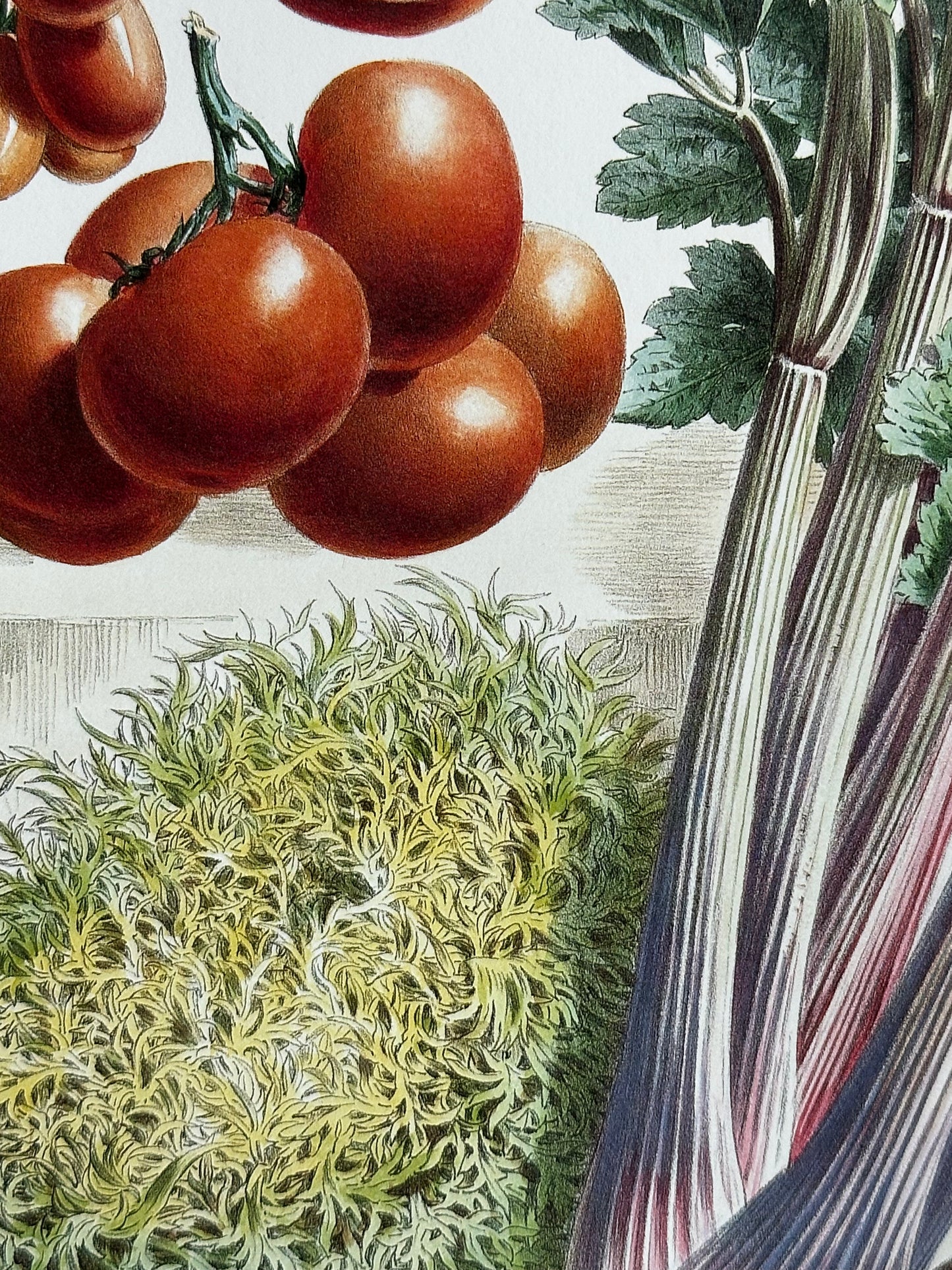 Planche légumes